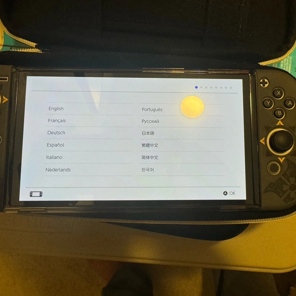 Nintendo Switch with Black and White Protective Case